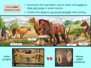  Distributes the load better, and its made with leather &
filled with straw  avoid injuries.
 Enables the horse to use its full strength when pulling.
Horse
collar
(collera)
Yoke
(yugo)
Horse collar
(instead of yoke)
VS
 