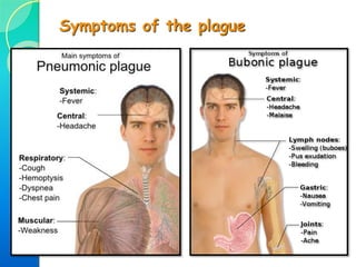 Torture and Punishment techniques
The brazen bull is an executionary device first invented in
Ancient Greece.
The subject was locked inside the brazen bull and set a fire
underneath it. He was slowly burned alive to death.
Even though this torture was not used as frequently during
the Middle Ages as it was used earlier by the Greek and
Romans, it was still used in Central Europe.
The
brazen
bull
 