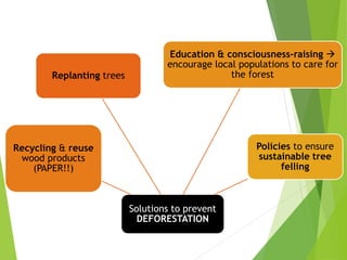 Solutions to prevent
DEFORESTATION
Policies to ensure
sustainable tree
felling
Education & consciousness-raising 
encourage local populations to care for
the forest
Recycling & reuse
wood products
(PAPER!!)
Replanting trees
 