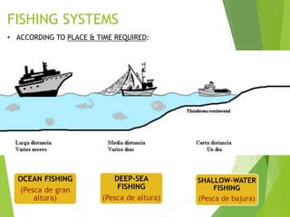 FISHING SYSTEMS
• ACCORDING TO PLACE & TIME REQUIRED:
SHALLOW-WATER
FISHING
(Pesca de bajura)
DEEP-SEA
FISHING
(Pesca de altura)
OCEAN FISHING
(Pesca de gran
altura)
 