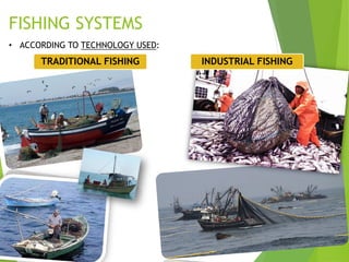 FISHING SYSTEMS
• ACCORDING TO TECHNOLOGY USED:
TRADITIONAL FISHING INDUSTRIAL FISHING
 