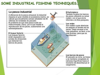 SOME INDUSTRIAL FISHING TECHNIQUES…
 