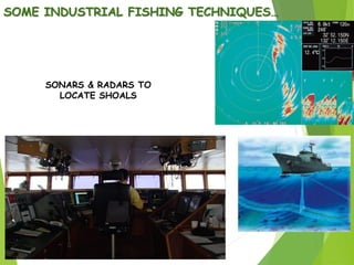 SOME INDUSTRIAL FISHING TECHNIQUES…
SONARS & RADARS TO
LOCATE SHOALS
 