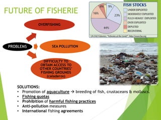 FUTURE OF FISHERIE
PROBLEMS SEA POLLUTION
DIFFICULTY TO
OBTAIN ACCESS TO
OTHER COUNTRIES’
FISHING GROUNDS
(caladeros)
OVERFISHING
SOLUTIONS:
• Promotion of aquaculture  breeding of fish, crustaceans & molluscs.
• Fishing quotas
• Prohibition of harmful fishing practices
• Anti-pollution measures
• International fishing agreements
 