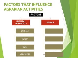 FACTORS THAT INFLUENCE
AGRARIAN ACTIVITIES
FACTORS
NATURAL
(PHYSICAL)
Climate
Relief
Soil
Vegetation
HUMAN
Population
Technological
development
Economic & social
organization
 