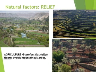 Natural factors: RELIEF
AGRICULTURE  prefers flat valley
floors; avoids mountainous areas.
 