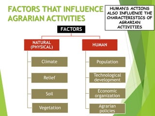 FACTORS THAT INFLUENCE
AGRARIAN ACTIVITIES
FACTORS
NATURAL
(PHYSICAL)
Climate
Relief
Soil
Vegetation
HUMAN
Population
Technological
development
Economic
organization
Agrarian
policies
HUMAN’S ACTIONS
ALSO INFLUENCE THE
CHARACTERISTICS OF
AGRARIAN
ACTIVITIES
 