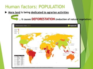Human factors: POPULATION
 More land is being dedicated to agrarian activities
… it causes DEFORESTATION (reduction of natural vegetation)
 
