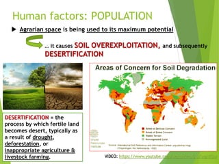 Human factors: POPULATION
 Agrarian space is being used to its maximum potential
… it causes SOIL OVEREXPLOITATION, and subsequently
DESERTIFICATION
VIDEO: https://www.youtube.com/watch?v=uU-8FwgNK0w
DESERTIFICATION = the
process by which fertile land
becomes desert, typically as
a result of drought,
deforestation, or
inappropriate agriculture &
livestock farming.
 