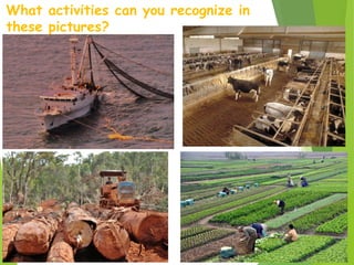 What activities can you recognize in
these pictures?
 