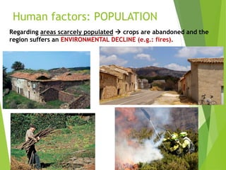 Human factors: POPULATION
Regarding areas scarcely populated  crops are abandoned and the
region suffers an ENVIRONMENTAL DECLINE (e.g.: fires).
 