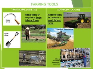 FARMING TOOLS
TRADITIONAL SOCIETIES ADVANCED SOCIETIES
Spade
(pala)
Hoe
(azada)
Sickle
(hoz)
Plough
(arado)
Tractor
Harvester (cosechadora)
Milking
machines
(ordeñador
eléctrico)
Basic tools 
require a large
labour force
Modern tools
 require a
small labour
force
 