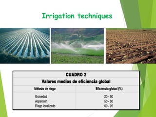 Irrigation techniques
 