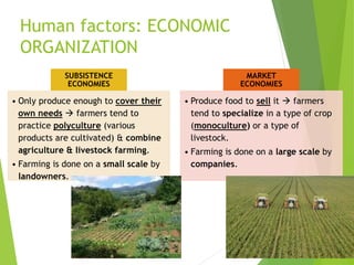 Human factors: ECONOMIC
ORGANIZATION
SUBSISTENCE
ECONOMIES
• Only produce enough to cover their
own needs  farmers tend to
practice polyculture (various
products are cultivated) & combine
agriculture & livestock farming.
• Farming is done on a small scale by
landowners.
MARKET
ECONOMIES
• Produce food to sell it  farmers
tend to specialize in a type of crop
(monoculture) or a type of
livestock.
• Farming is done on a large scale by
companies.
 