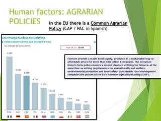 Human factors: AGRARIAN
POLICIES In the EU there is a Common Agrarian
Policy (CAP / PAC in Spanish)
 