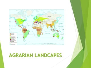 AGRARIAN LANDCAPES
 