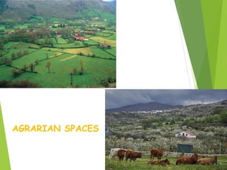 AGRARIAN SPACES
 
