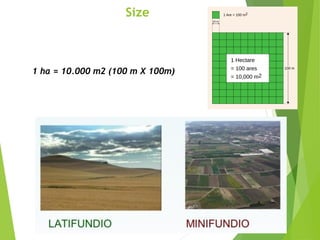 1 ha = 10.000 m2 (100 m X 100m)
Size
 
