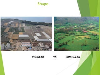 REGULAR VS IRREGULAR
Shape
 