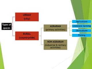 Types of
spaces
URBAN
(city)
RURAL
(countryside)
AGRARIAN
(primary activities)
Agriculture
Livestock farming
Silviculture
Fishing
NON AGRARIAN
(industrial & tertiary
activities)
 