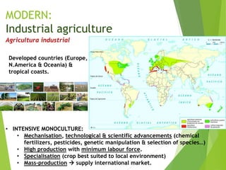 MODERN:
Industrial agriculture
Developed countries (Europe,
N.America & Oceania) &
tropical coasts.
Agricultura industrial
• INTENSIVE MONOCULTURE:
• Mechanisation, technological & scientific advancements (chemical
fertilizers, pesticides, genetic manipulation & selection of species…)
• High production with minimum labour force.
• Specialisation (crop best suited to local environment)
• Mass-production  supply international market.
 