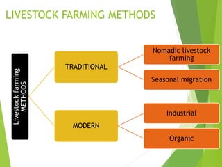 LIVESTOCK FARMING METHODSLivestockfarming
METHODS
TRADITIONAL
Nomadic livestock
farming
Seasonal migration
MODERN
Industrial
Organic
 