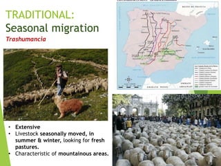 TRADITIONAL:
Seasonal migration
Trashumancia
• Extensive
• Livestock seasonally moved, in
summer & winter, looking for fresh
pastures.
• Characteristic of mountainous areas.
 