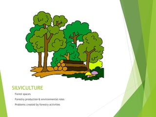 SILVICULTURE
- Forest spaces
- Forestry production & environmental roles
- Problems created by forestry activities
 