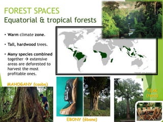 FOREST SPACES
Equatorial & tropical forests
• Warm climate zone.
• Tall, hardwood trees.
• Many species combined
together  extensive
areas are deforested to
harvest the most
profitable ones.
MAHOGANY (caoba)
EBONY (ébano)
TEAK
(teca)
 