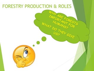 FORESTRY PRODUCTION & ROLES
 
