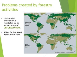Problems created by forestry
activities
• Uncontrolled
exploitation of
forests has led to
serious levels of
DEFORESTATION.
• 1/3 of Earth’s forest
 lost since 1950.
 