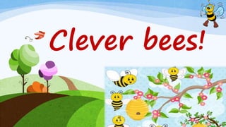 Clever bees!
 