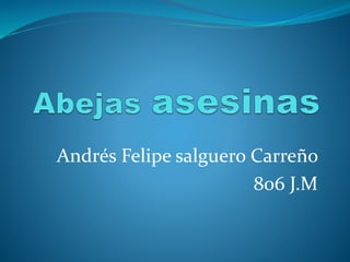 Andrés Felipe salguero Carreño
806 J.M
 