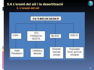 5.6 L’erosió del sòl i la desertització 1. L’erosió del sòl 
