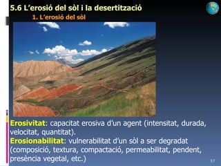 5.6 L’erosió del sòl i la desertització 1. L’erosió del sòl Erosivitat : capacitat erosiva d’un agent (intensitat, durada, velocitat, quantitat). Erosionabilitat : vulnerabilitat d’un sòl a ser degradat (composició, textura, compactació, permeabilitat, pendent, presència vegetal, etc.) 