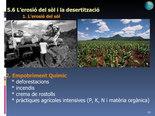 5.6 L’erosió del sòl i la desertització 1. L’erosió del sòl 2. Empobriment Químic   * deforestacions * incendis * crema de rostolls * pràctiques agrícoles intensives (P, K, N i matèria orgànica) 