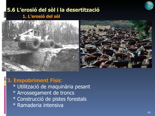 5.6 L’erosió del sòl i la desertització 1. L’erosió del sòl 3. Empobriment Físic * Utilització de maquinària pesant * Arrossegament de troncs * Construcció de pistes forestals * Ramaderia intensiva 