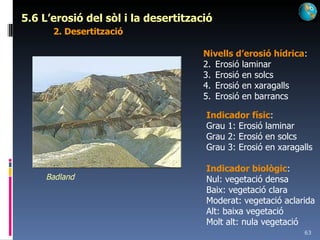 5.6 L’erosió del sòl i la desertització 2. Desertització Nivells d’erosió hídrica : Erosió laminar Erosió en solcs Erosió en xaragalls Erosió en barrancs Badland Indicador físic : Grau 1: Erosió laminar Grau 2: Erosió en solcs Grau 3: Erosió en xaragalls Indicador biològic : Nul: vegetació densa Baix: vegetació clara Moderat: vegetació aclarida Alt: baixa vegetació Molt alt: nula vegetació 