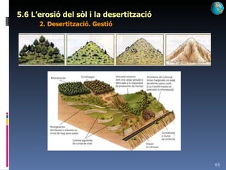 5.6 L’erosió del sòl i la desertització 2. Desertització. Gestió 