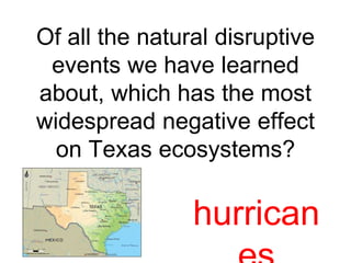Of all the natural disruptive 
events we have learned 
about, which has the most 
widespread negative effect 
on Texas ecosystems? 
hurrican 
es 
 