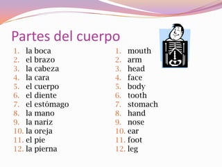 Partes del cuerpo
1. la boca       1. mouth
2. el brazo      2. arm
3. la cabeza     3. head
4. la cara       4. face
5. el cuerpo     5. body
6. el diente     6. tooth
7. el estómago   7. stomach
8. la mano       8. hand
9. la nariz      9. nose
10. la oreja     10. ear
11. el pie       11. foot
12. la pierna    12. leg
 