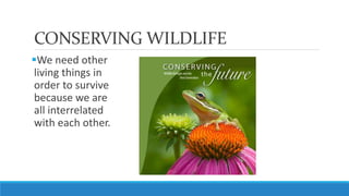 CONSERVING WILDLIFE
We need other
living things in
order to survive
because we are
all interrelated
with each other.
 