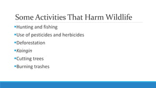 Some Activities That Harm Wildlife
Hunting and fishing
Use of pesticides and herbicides
Deforestation
Kaingin
Cutting trees
Burning trashes
 