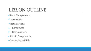 LESSON OUTLINE
Biotic Components
Autotrophs
Heterotrophs
1. Consumers
2. Decomposers
Abiotic Components
Conserving Wildlife
 