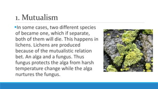 1. Mutualism
In some cases, two different species
of became one, which if separate,
both of them will die. This happens i...