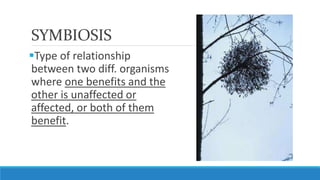 SYMBIOSIS
Type of relationship
between two diff. organisms
where one benefits and the
other is unaffected or
affected, or...
