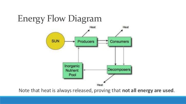 Energy Flow Diagram Simple