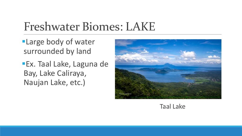 Unit 5, Lesson 5.5 Major Ecosystems and Resources in the Philippines