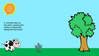3. Animals feed on
the plant, passing the
carbon compounds
along the food chain.
 