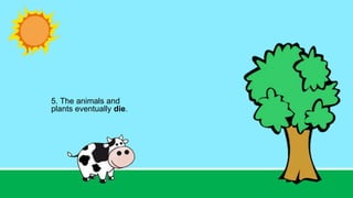 5. The animals and
plants eventually die.
 